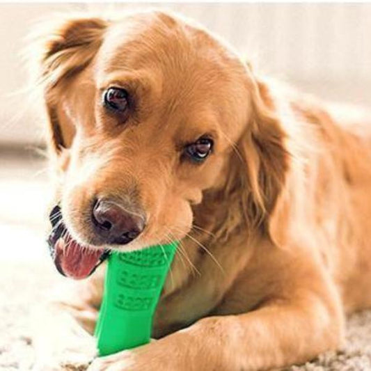 Dog Brushing Stick: The Revolutionary Way to Clean Your Dog¡¯s Teeth (Vet Recommended)