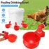(🎁Hot Sale-30% OFF) Automatic Chicken Water Cup Bird Coop