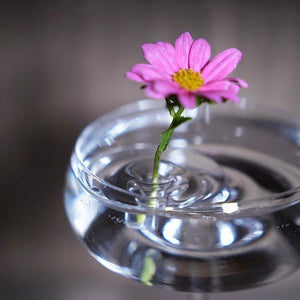 🌷2025 Creative Floating Floral Arrangement Holder