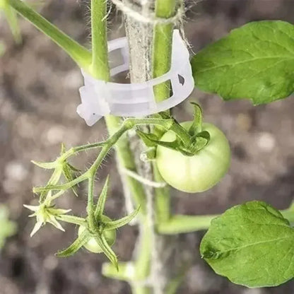 Reusable Plant Support Clips (100 clips) - Image 6