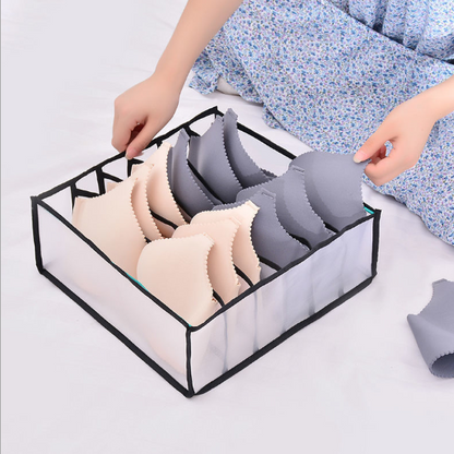 Organizer Storage Box