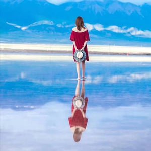 🔥2025 HOT SALE🔥Smartphone Camera Mirror Reflection Clip Kit