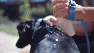 Handheld Pet Shower Grip