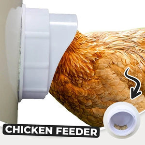 (🔥50% OFF)DIY Chicken Feeder