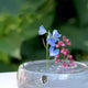 🌷2025 Creative Floating Floral Arrangement Holder