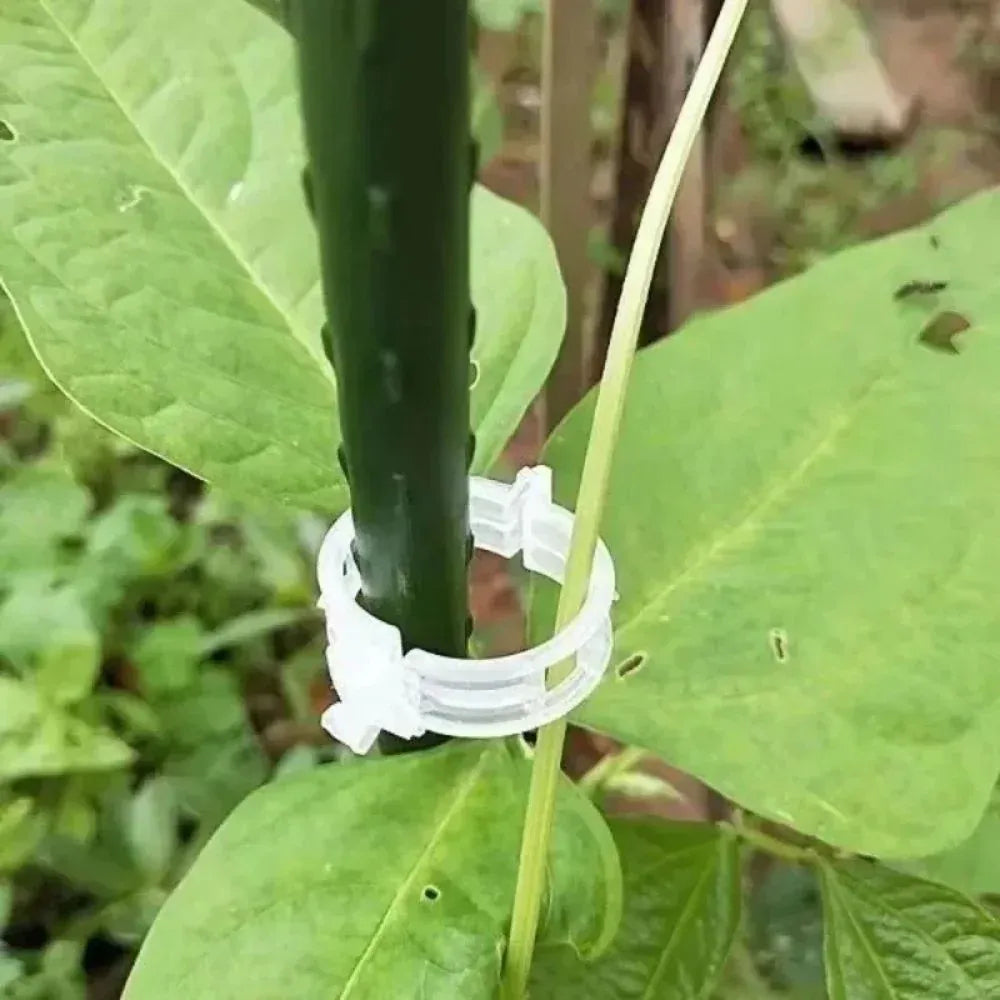 Reusable Plant Support Clips (100 clips) - Image 4