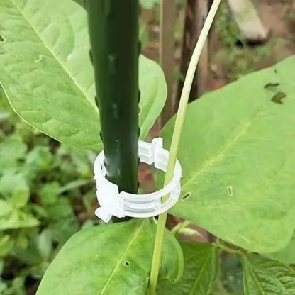 Reusable Plant Support Clips (100 clips) - Image 4