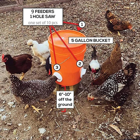 (🔥50% OFF)DIY Chicken Feeder