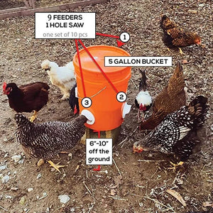 (🔥50% OFF)DIY Chicken Feeder