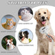 Self-Cleaning Spray Cat Brush for Shedding
