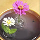 🌷2025 Creative Floating Floral Arrangement Holder
