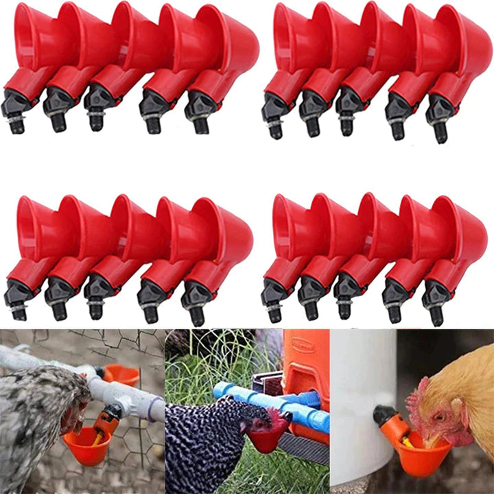 (🎁Hot Sale-30% OFF) Automatic Chicken Water Cup Bird Coop