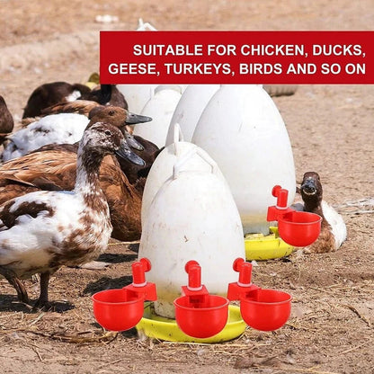 (🎁Hot Sale-30% OFF) Automatic Chicken Water Cup Bird Coop