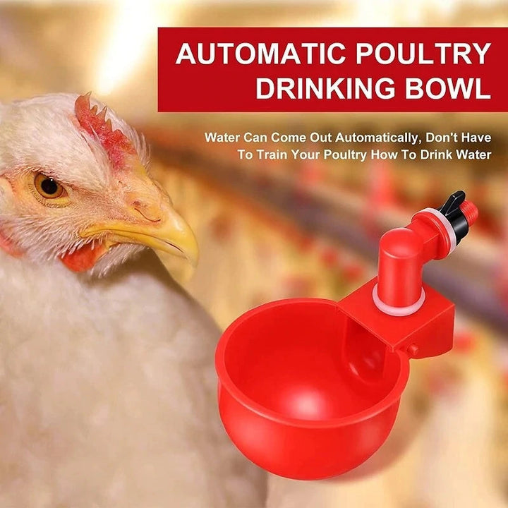 (🎁Hot Sale-30% OFF) Automatic Chicken Water Cup Bird Coop