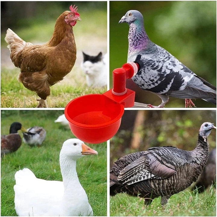 (🎁Hot Sale-30% OFF) Automatic Chicken Water Cup Bird Coop