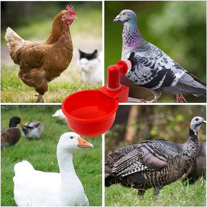 (🎁Hot Sale-30% OFF) Automatic Chicken Water Cup Bird Coop