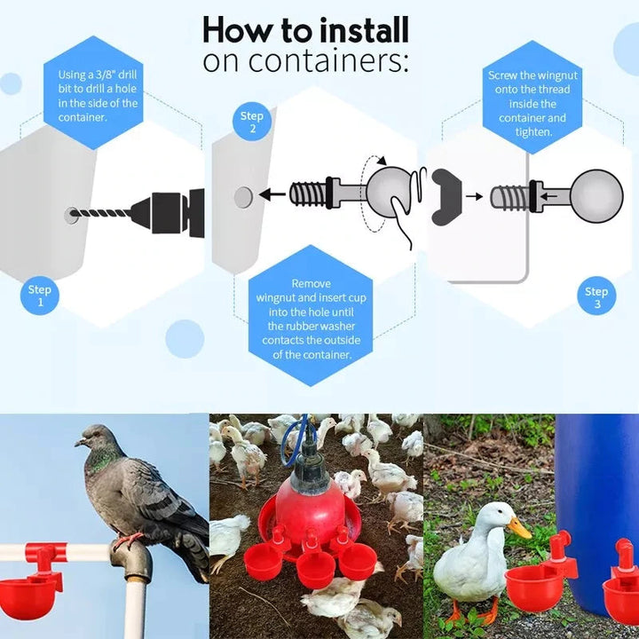 (🎁Hot Sale-30% OFF) Automatic Chicken Water Cup Bird Coop