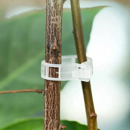 Reusable Plant Support Clips (100 clips) - Image 5