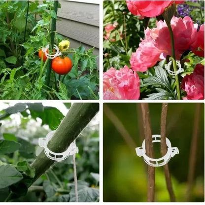 Reusable Plant Support Clips (100 clips) - Image 8