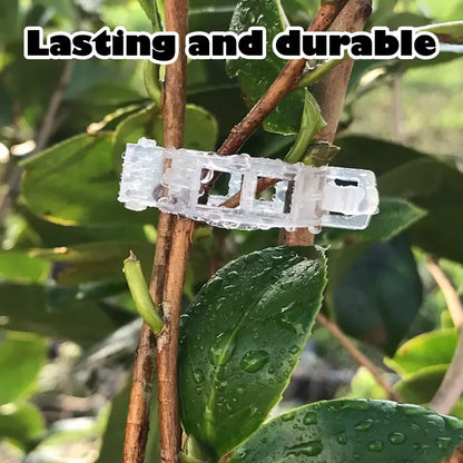 Reusable Plant Support Clips (100 clips) - Image 3
