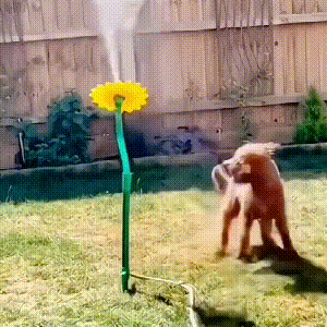 Dancing Daisy Garden Sprinkler