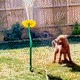 Dancing Daisy Garden Sprinkler