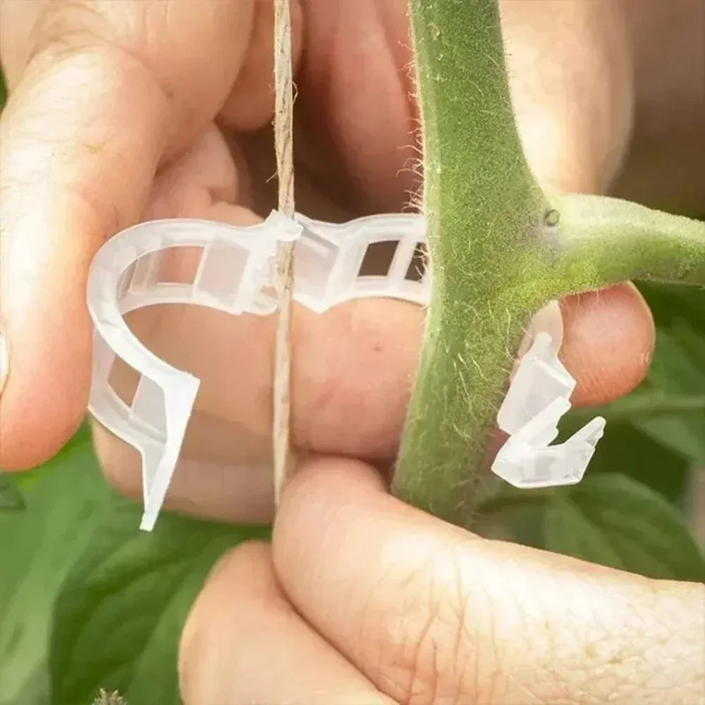 Reusable Plant Support Clips (100 clips) - Image 7