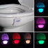 Toilet Nightlight