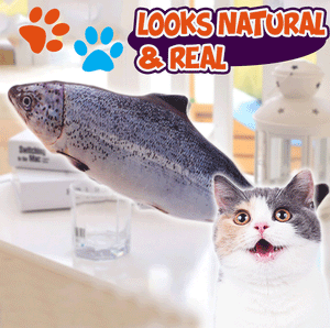 Dancing Fish Cat Kicker Toy